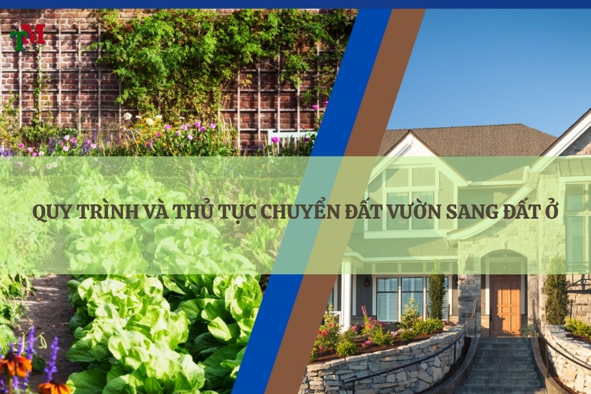 CHUYEN DAT VUON SANG DAT O 3