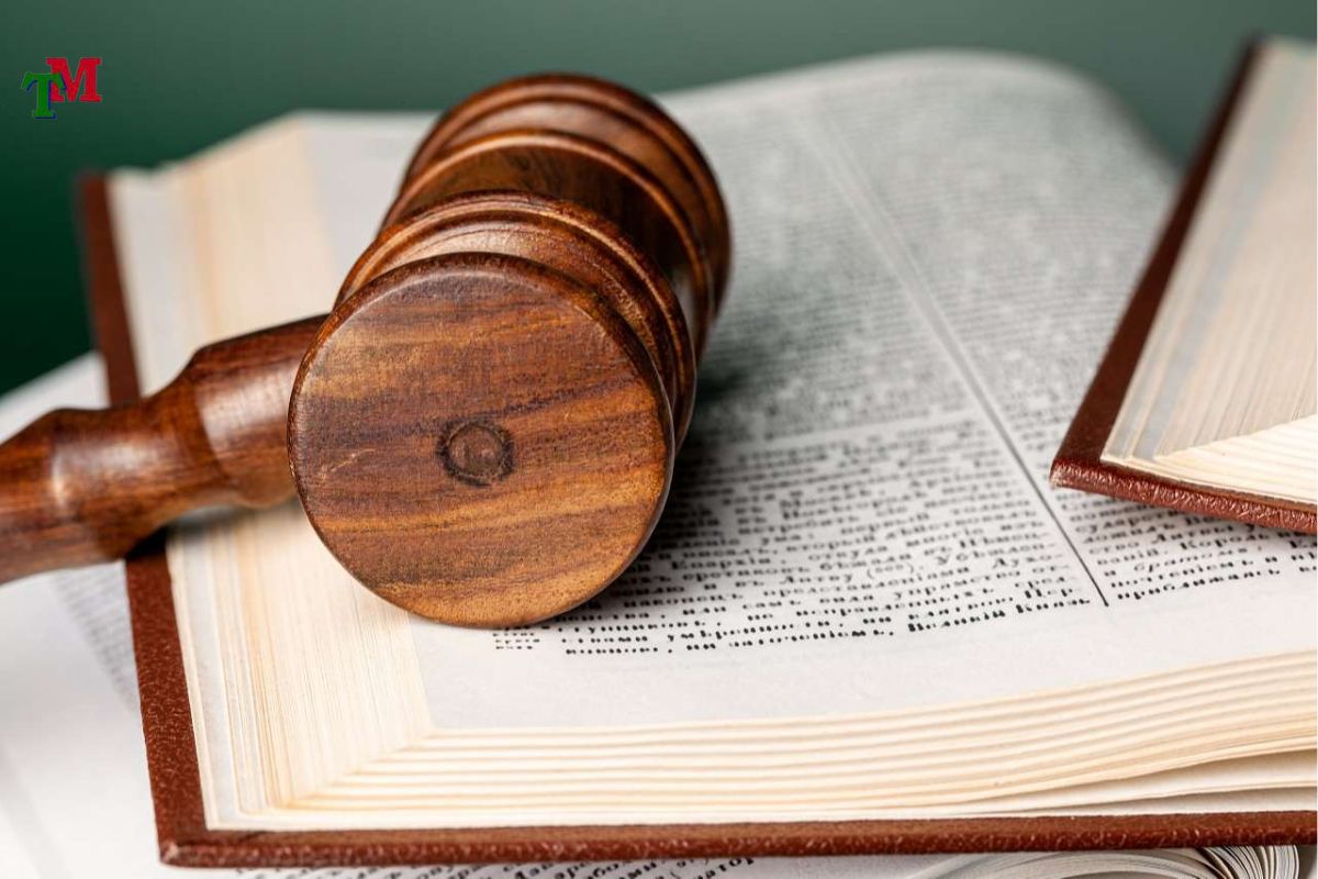 Cơ quan tiến hành tố tụng dân sự là gì? Danh sách, thẩm quyền và vai trò pháp lý cần biết 3 CO QUAN TIEN HANH TO TUNG DAN SU 3