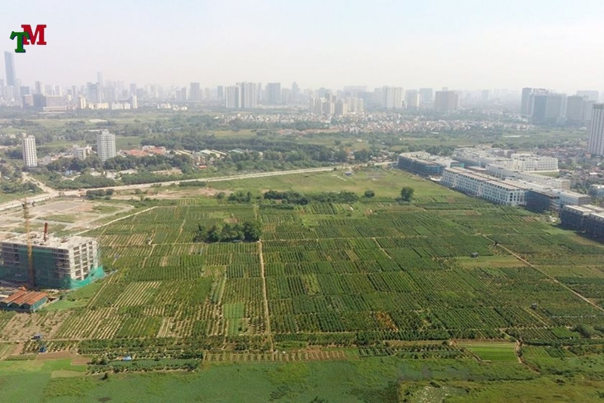 CONG TAC QUY HOACH DAT