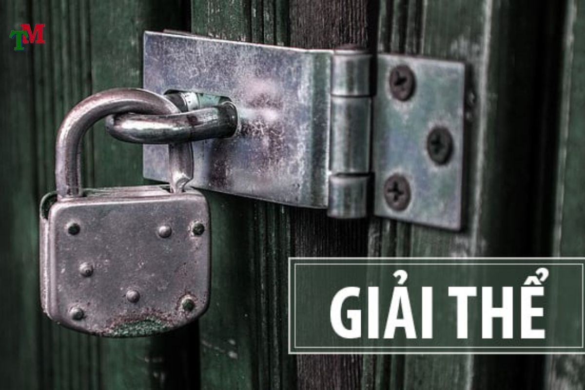 Giải thể công ty có được hoàn thuế không? Hướng dẫn thủ tục và căn cứ pháp lý chi tiết 2 CONG TY GIAI THE CO DUOC HOAN THUE KHONG 2