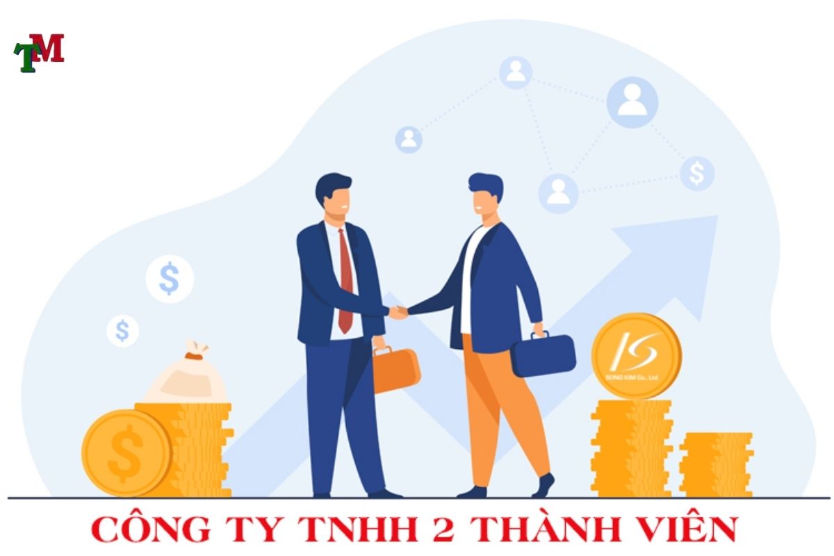 CÔNG TY TNHH 2 THÀNH VIÊN LÀ GÌ? – KHÁI NIỆM VÀ ĐẶC ĐIỂM