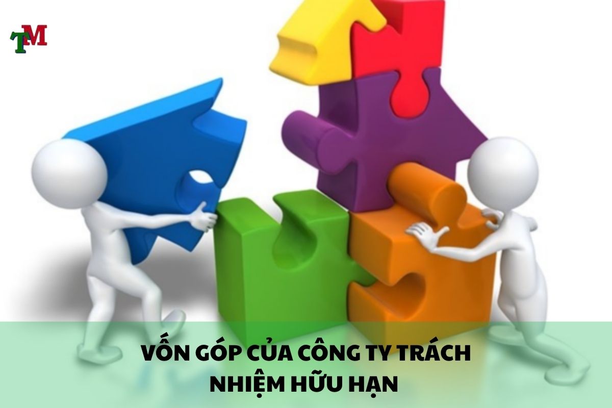 CONG TY TRACH NHIEM HUU HAN 2