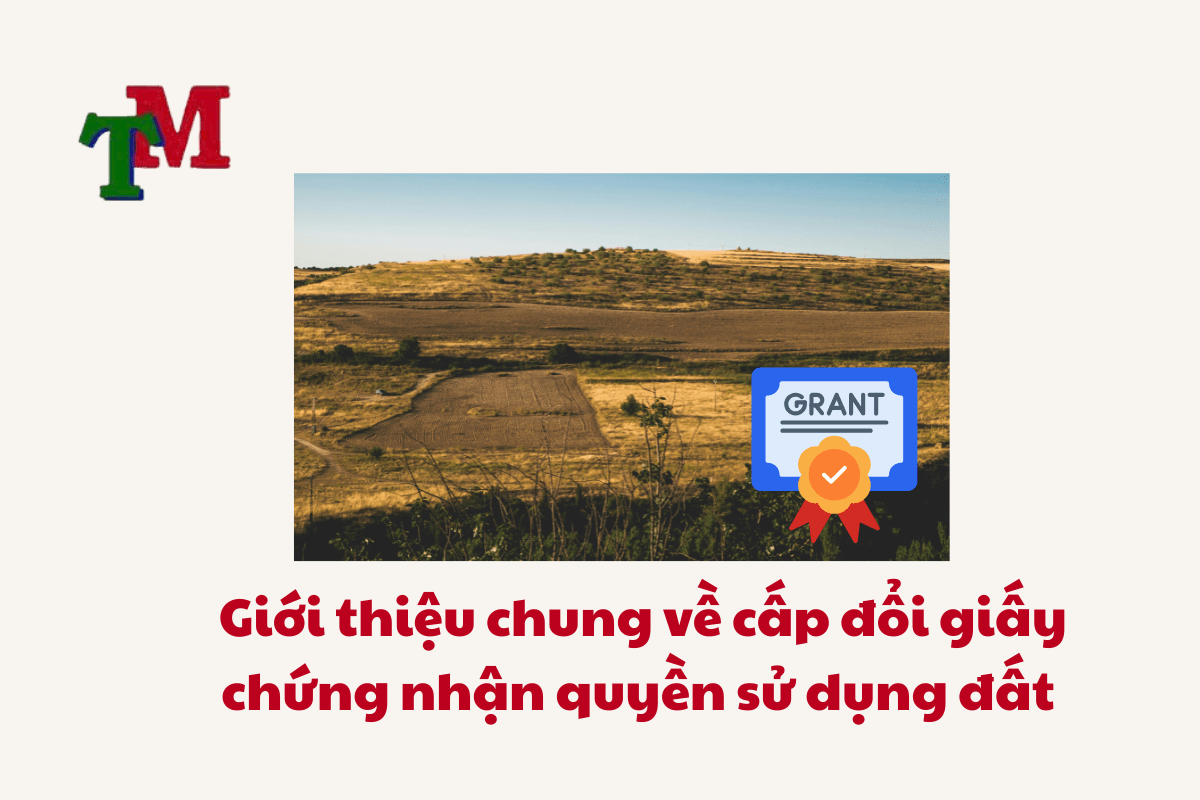 Cấp Đổi Giấy Chứng Nhận Quyền Sử Dụng Đất: Hồ Sơ, Thủ Tục và Phí Cập Nhật Mới Nhất 1 Cap Doi Giay Chung Nhan Quyen Su Dung Dat 1