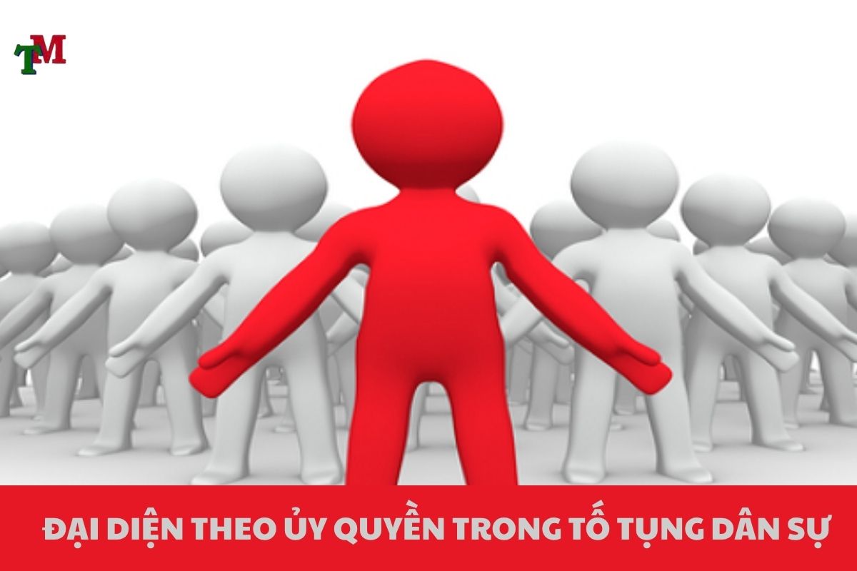 DAI DIEN THEO UY QUYEN 2