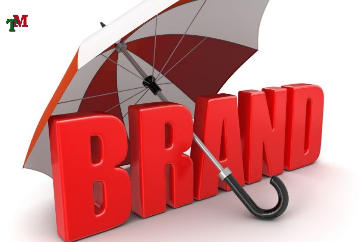 Đăng ký bảo hộ thương hiệu: Quy trình, chi phí và thủ tục pháp lý cần biết 3 DANG KY BAO HO THUONG HIEU 3