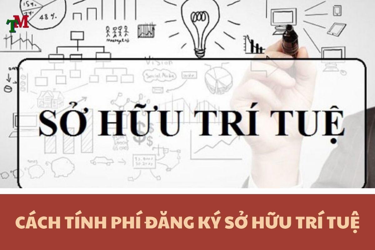 Đăng ký sở hữu trí tuệ cho sản phẩm: Quy trình pháp lý và cách bảo vệ quyền lợi hiệu quả 3 DANG KY SO HUU TRI TUE CHO SAN PHAM 3