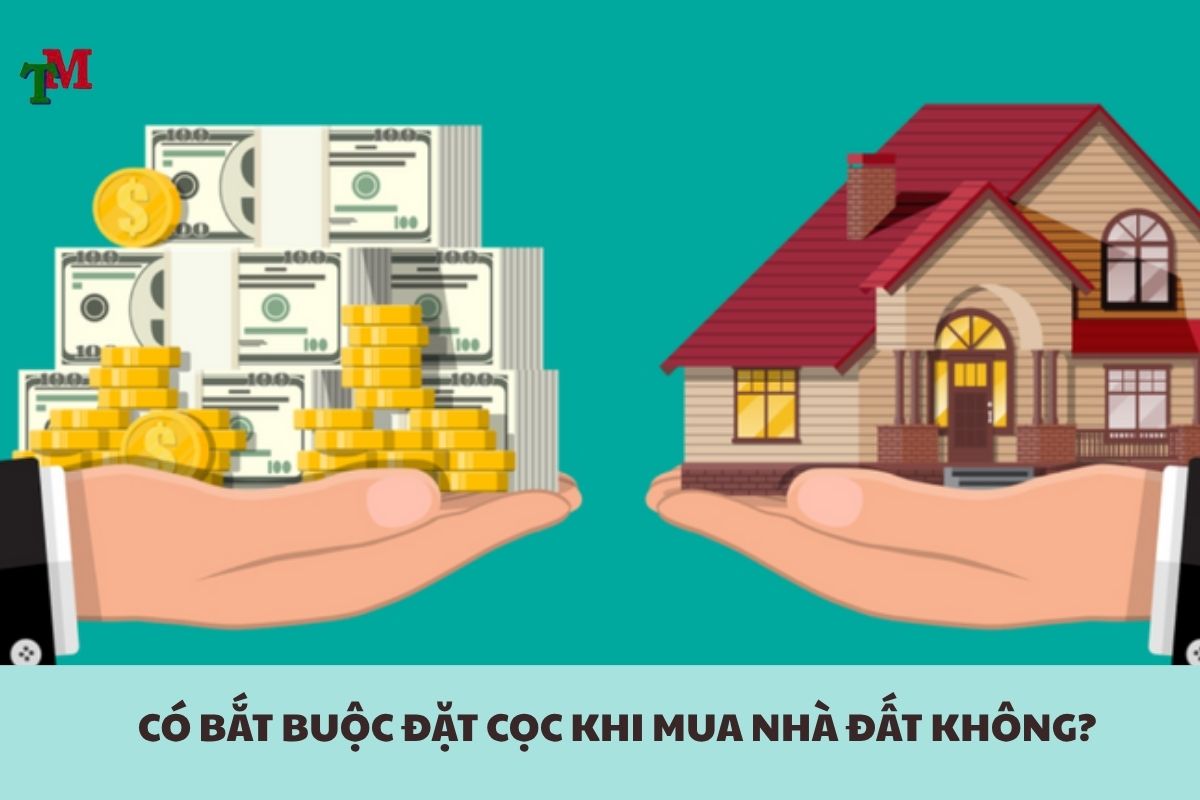 DAT COC KHI MUA NHA DAT