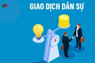 Điều kiện có hiệu lực của giao dịch dân sự: Hiểu đúng để tránh rủi ro pháp lý 47 DIEU KIEN CO HIEU LUC CUA GIAO DICH DAN SU 2