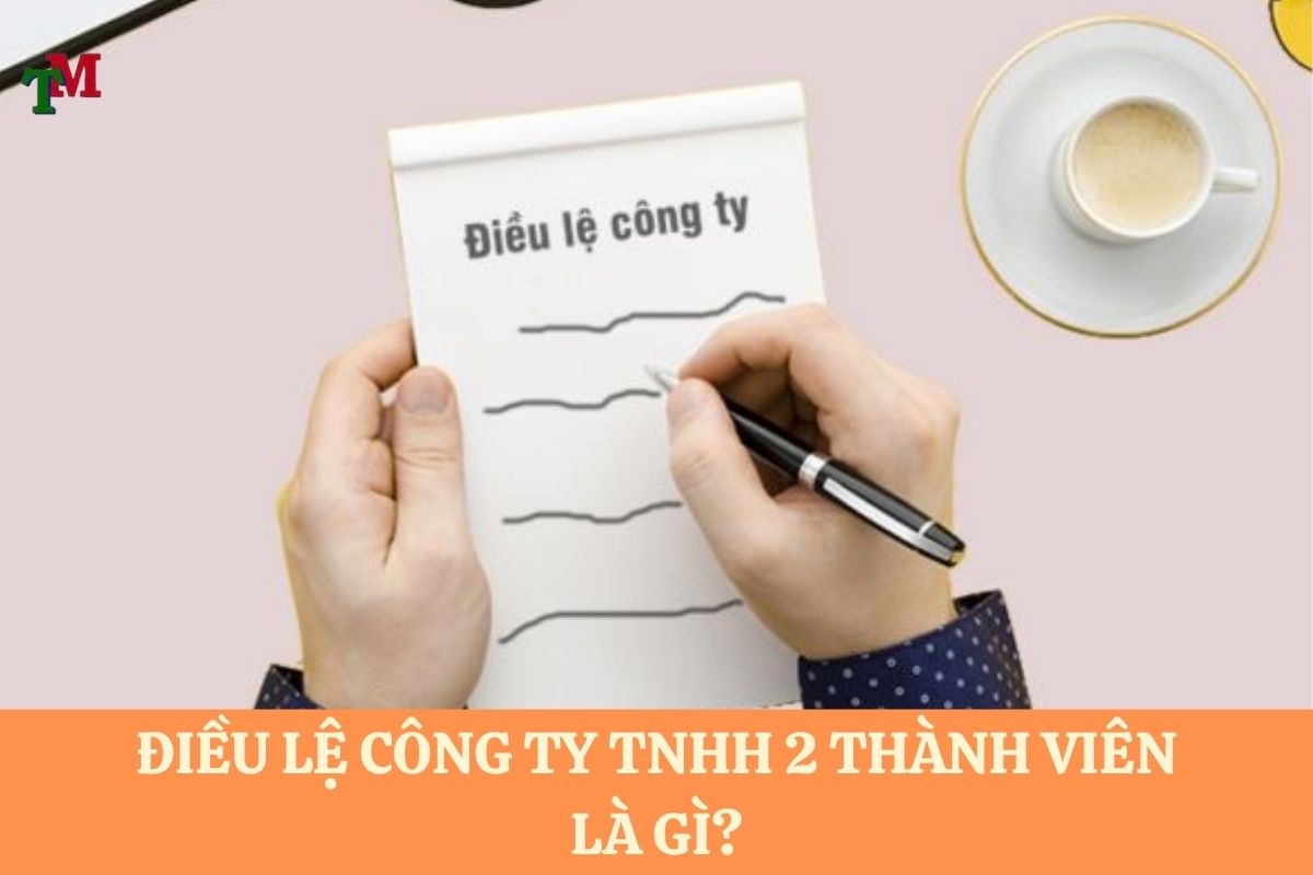 Điều lệ công ty TNHH 2 thành viên: Mẫu chuẩn, nội dung cần có và hướng dẫn soạn thảo mới nhất 1 DIEU LE CONG TY TNHH 2 THANH VIEN