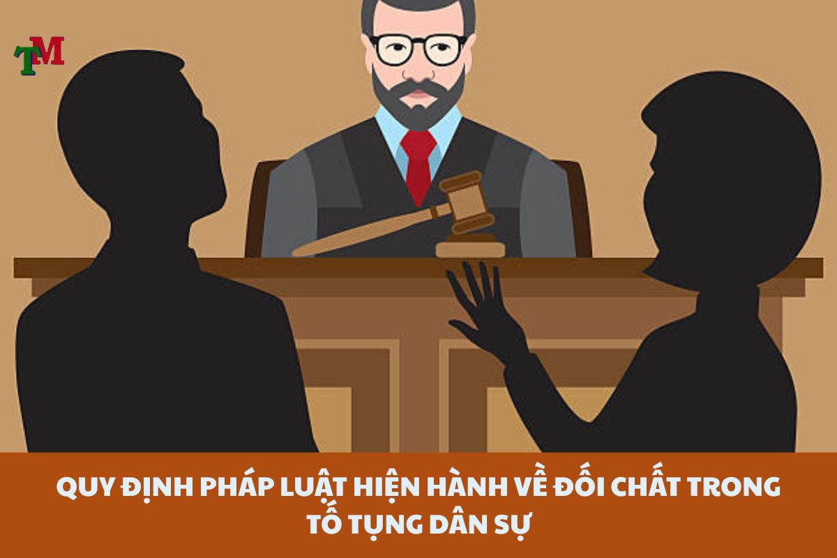 Đối chất trong tố tụng dân sự: Thủ tục bắt buộc và những điểm cần lưu ý 1 DOI CHAT