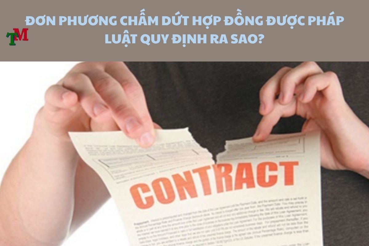 DON PHUONG CHAM DUT HOP DONG