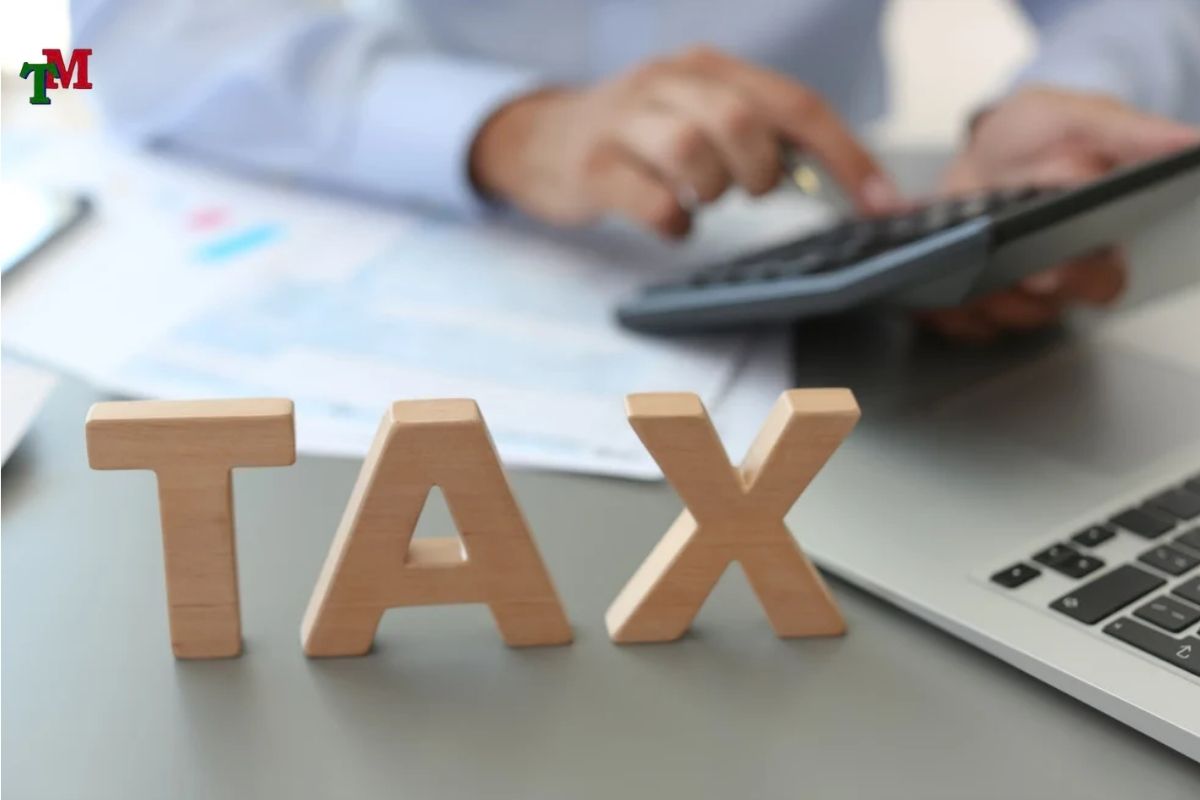 DONG MA SO THUE CHI NHANH 2