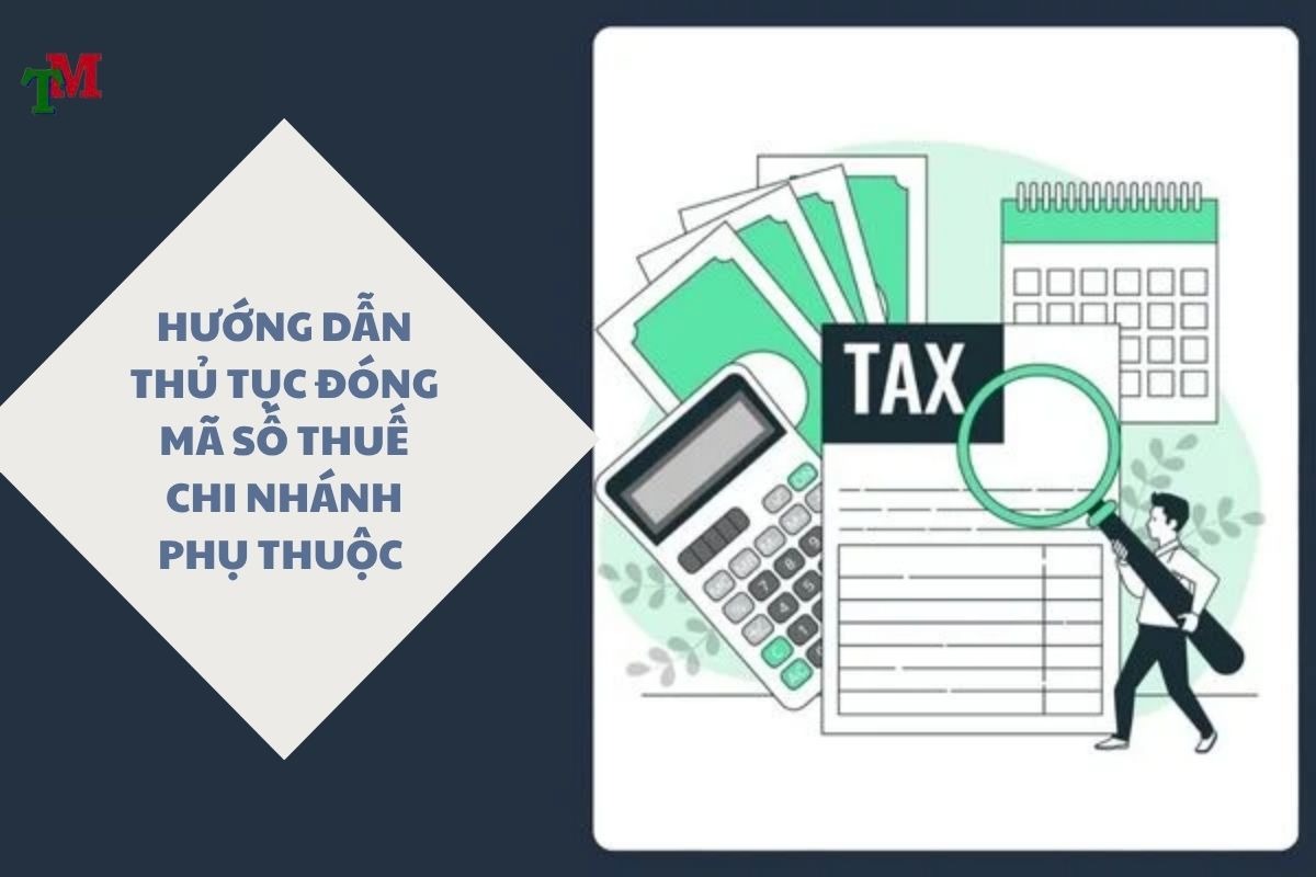 DONG MA SO THUE CHI NHANH