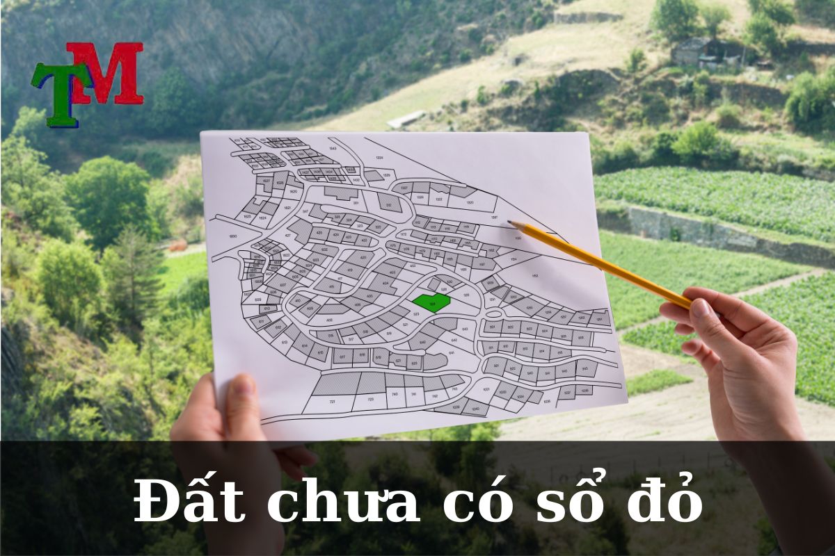 Đất chưa có sổ đỏ: Quy định pháp luật và giải pháp an toàn cùng Luật Thiên Mã 1 Dat chua co so do