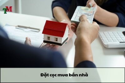 Dat coc mua ban nha 1