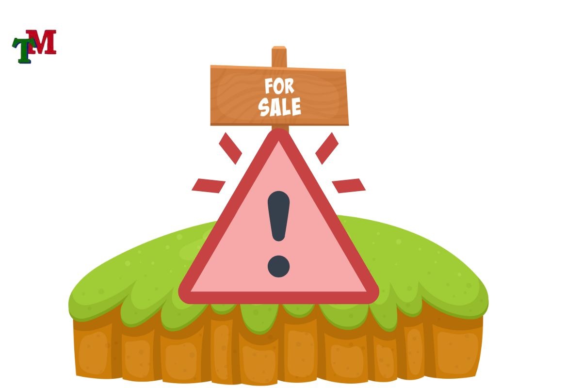 Dat trong cay lau nam 2