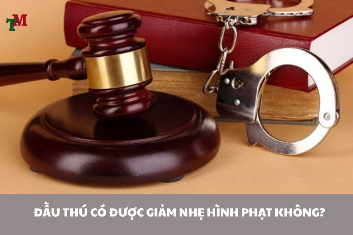 ĐẦU THÚ LÀ GÌ? QUY ĐỊNH PHÁP LUẬT VÀ CƠ HỘI GIẢM NHẸ HÌNH PHẠT 2 Dau thu 2