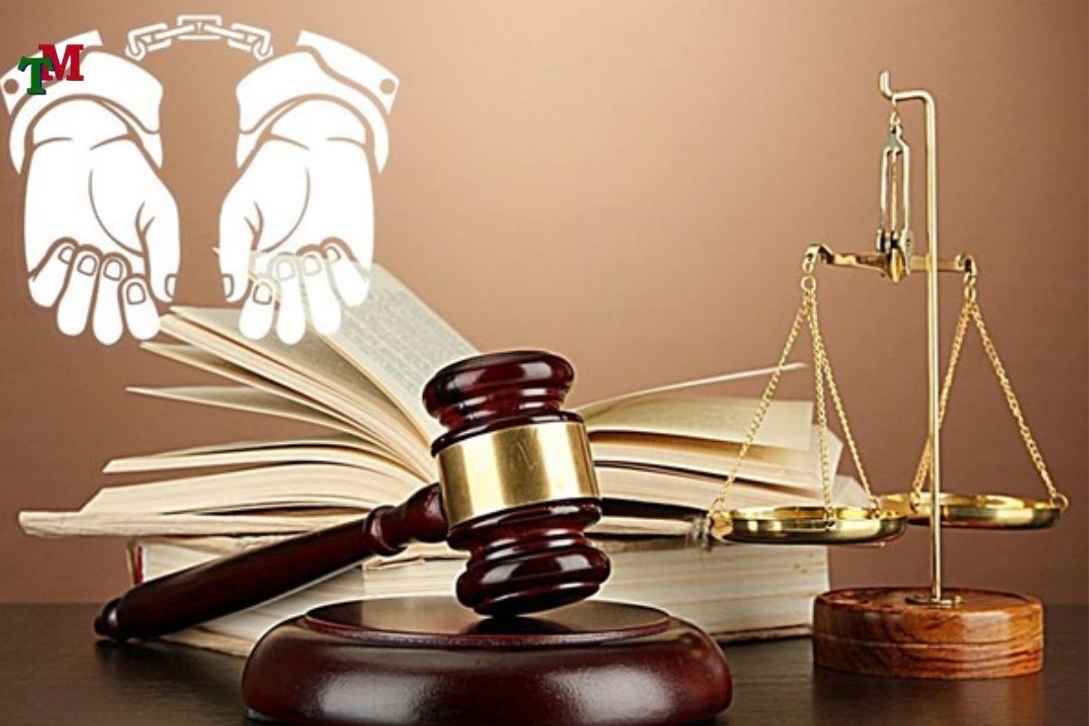 ĐẦU THÚ LÀ GÌ? QUY ĐỊNH PHÁP LUẬT VÀ CƠ HỘI GIẢM NHẸ HÌNH PHẠT 3 Dau thu 3