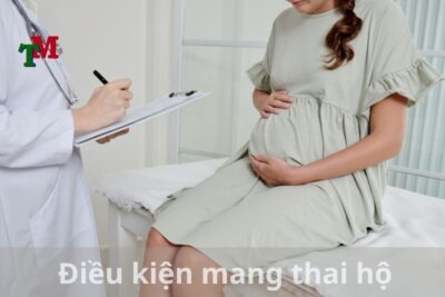 Điều kiện mang thai hộ (2)