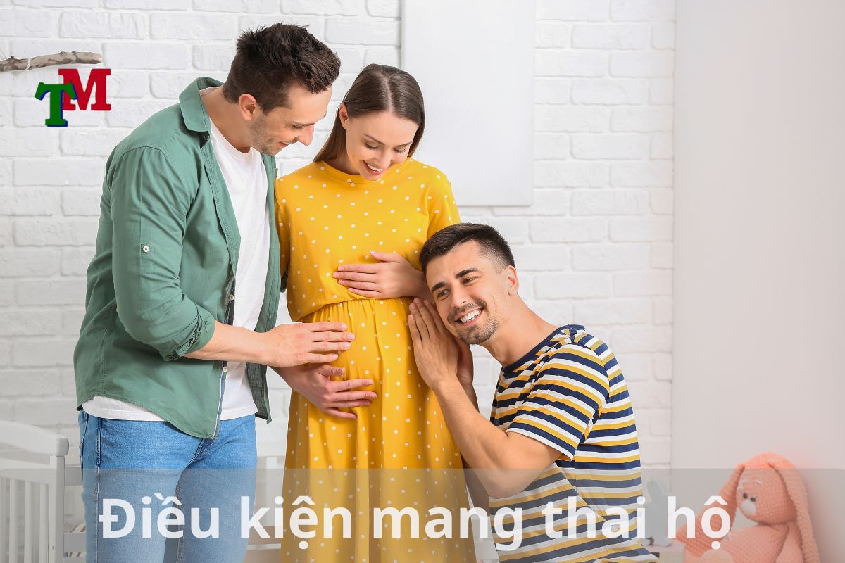 Điều kiện mang thai hộ 3 Điều kiện mang thai hộ