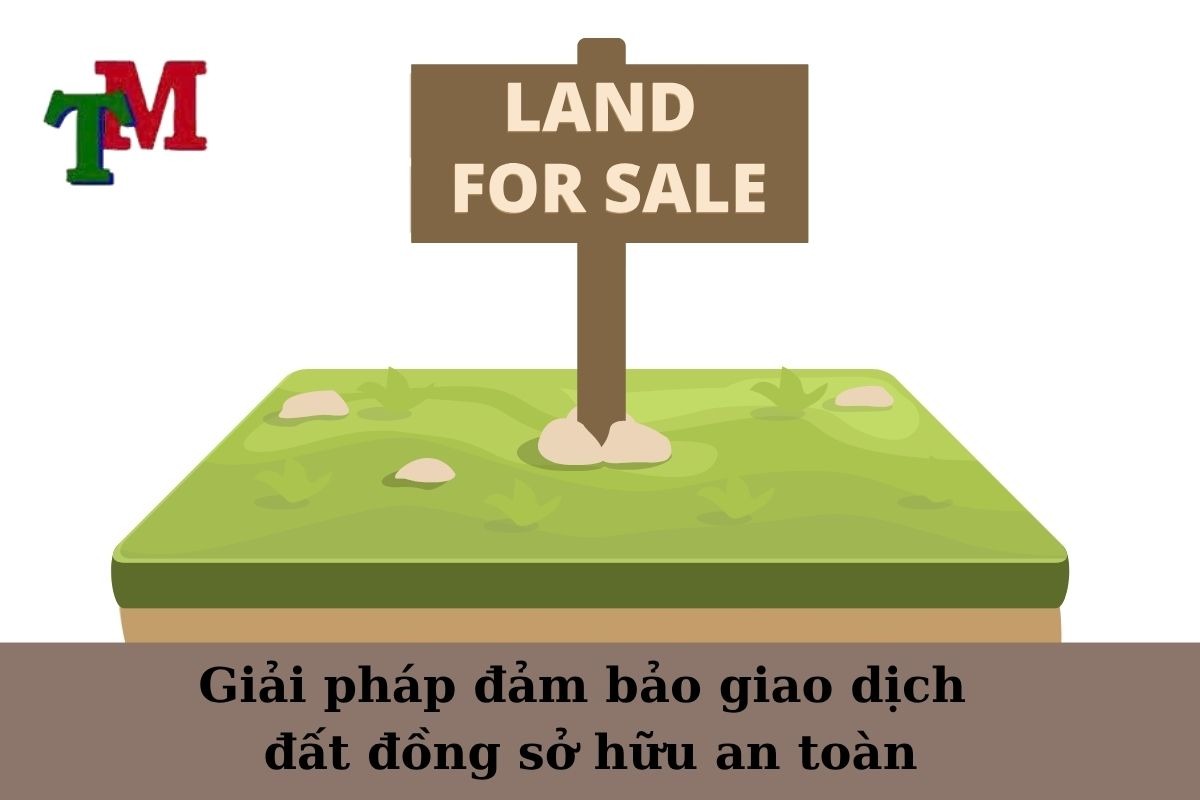 Đồng sở hữu đất: Hiểu biết quy định pháp luật và giải pháp an toàn cùng Luật Thiên Mã 3 Giải pháp đảm bảo giao dịch đất đồng sở hữu an toàn