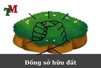 Thực trạng đồng sở hữu đất