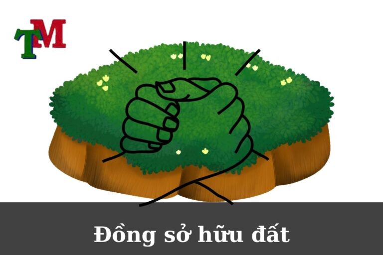Thực trạng đồng sở hữu đất
