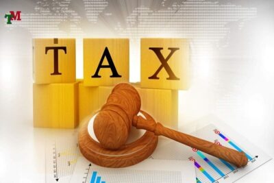 GIAN LAN DE KHONG NOP HOAC NOP THIEU THUE 3