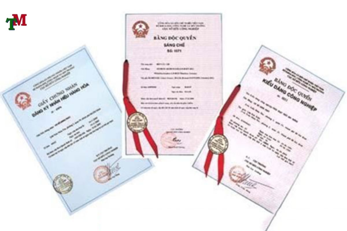 GIAY CHUNG NHAN BAN QUYEN TAC GIA