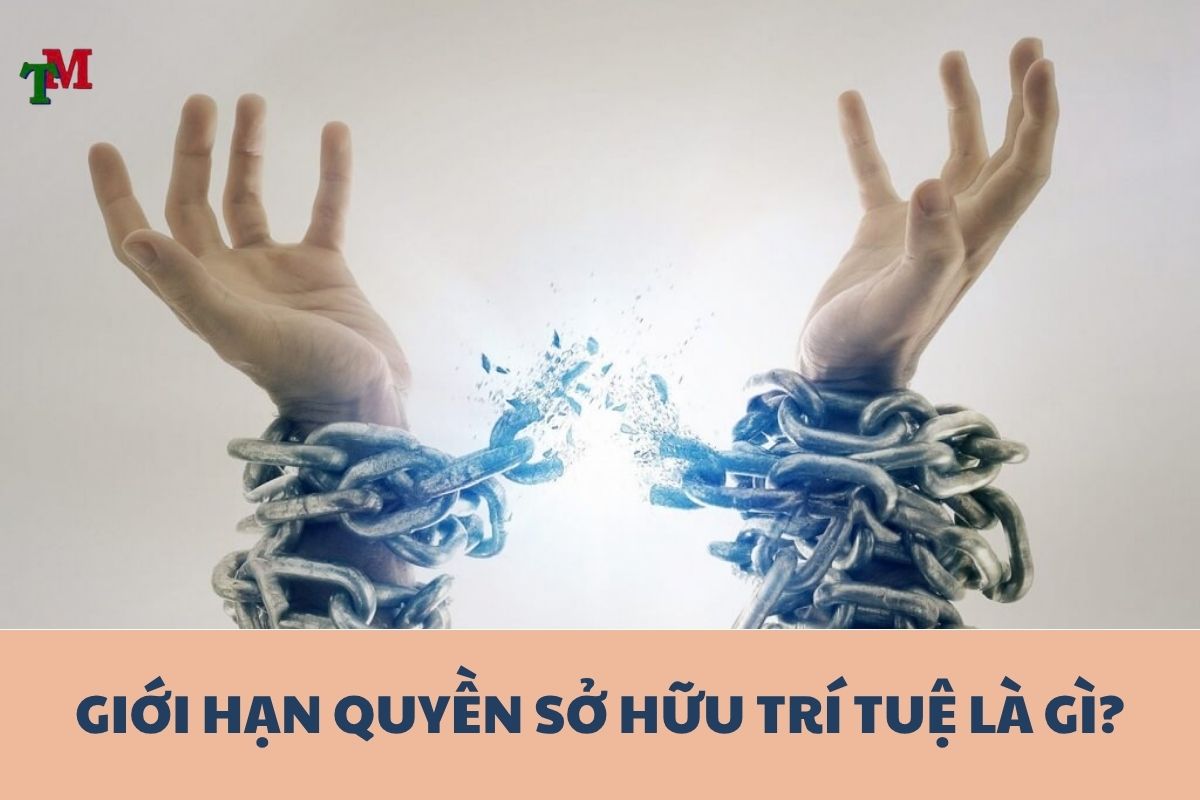 Giới hạn quyền sở hữu trí tuệ: Hiểu đúng để tránh rủi ro pháp lý 1 GIOI HAN QUYEN SO HUU TRI TUE