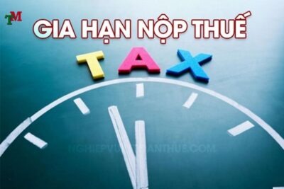 Gia han nop thue