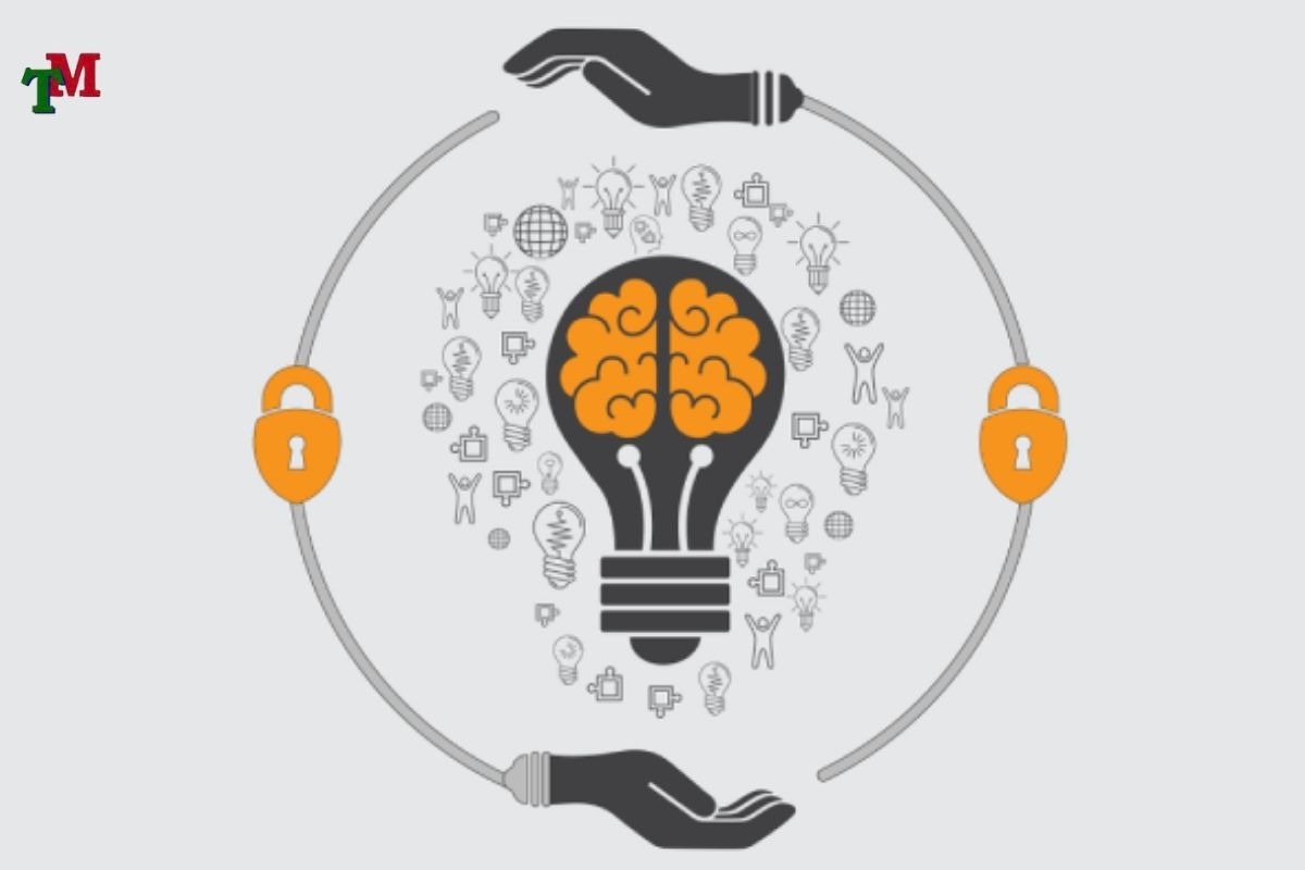 Hồ sơ đăng ký quyền tác giả: Quy định và hướng dẫn đầy đủ nhất hiện nay 1 HO SO DANG KY QUYEN TAC GIA 2