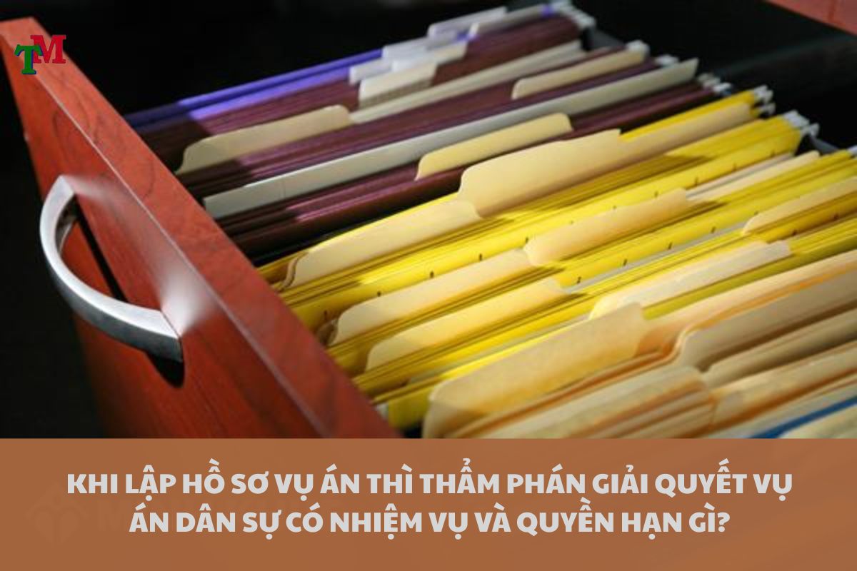 Hồ sơ vụ án dân sự: Thành phần, trình tự sắp xếp và lưu ý pháp lý quan trọng 2 HO SO VU AN DAN SU
