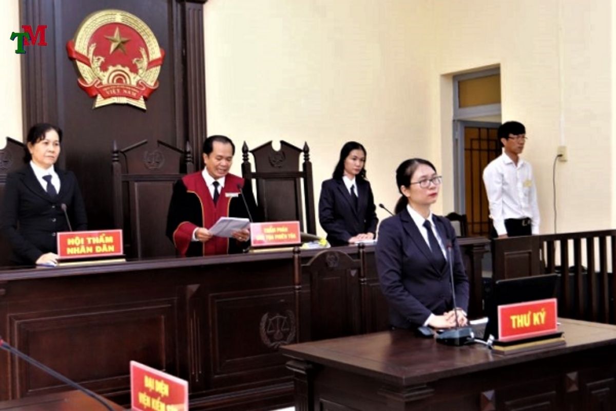 HOAN PHIEN TOA HINH SU SO THAM