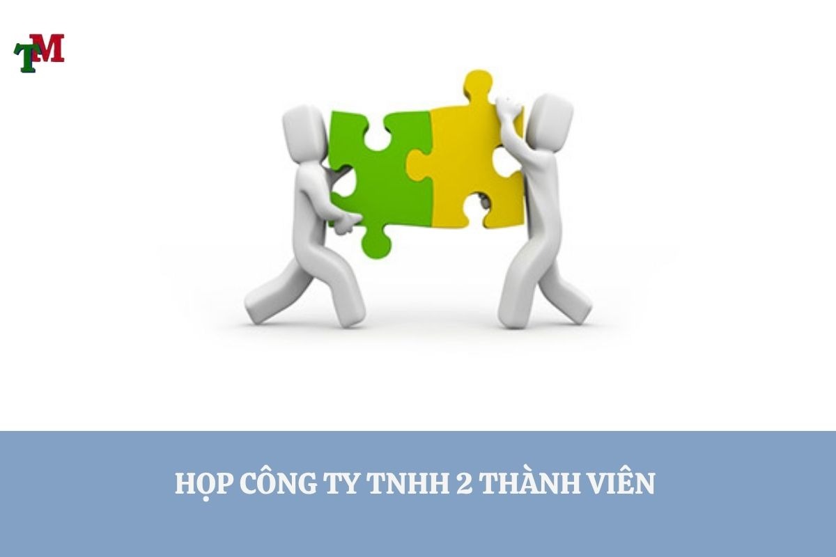 HOP CONG TY TNHH 2 THANH VIEN 2