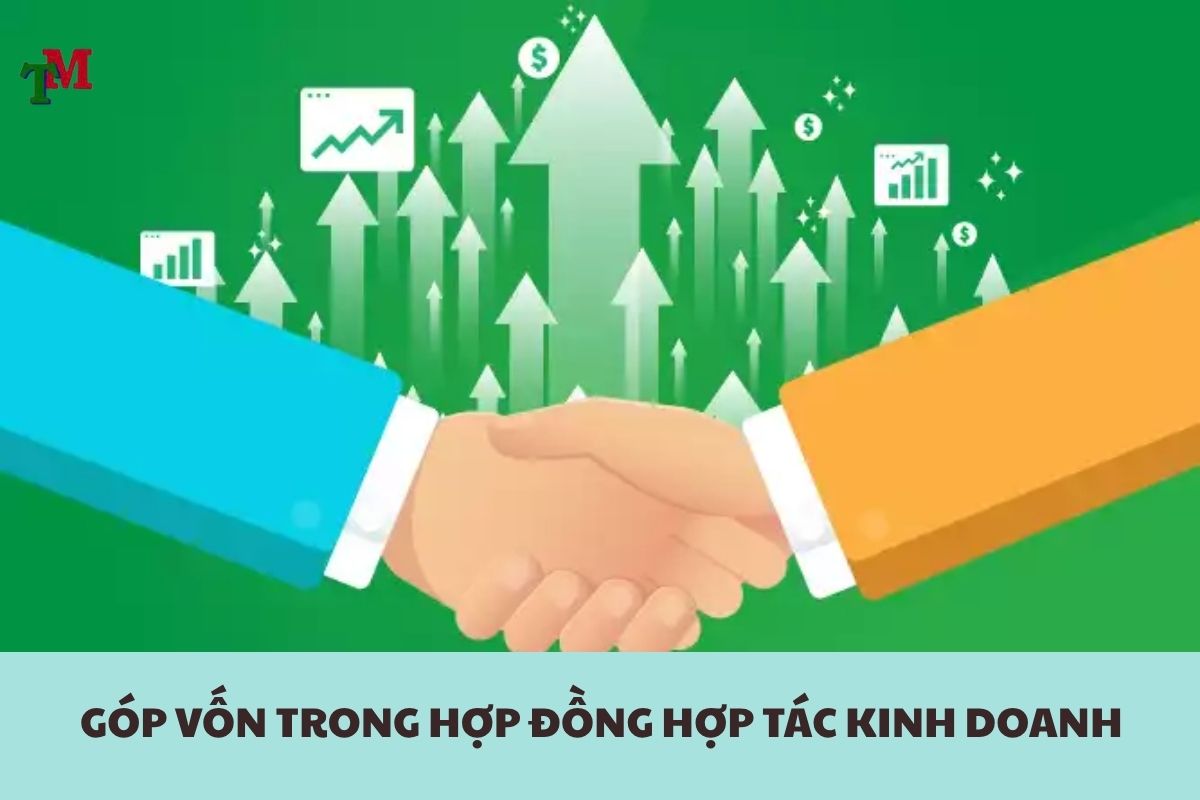 HOP DONG HOP TAC KINH DOANH 2
