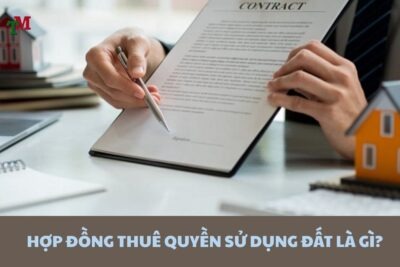 Hợp đồng thuê quyền sử dụng đất: Điều kiện, hình thức và lưu ý pháp lý quan trọng 31 HOP DONG THUE QUYEN SU DUNG DAT 2