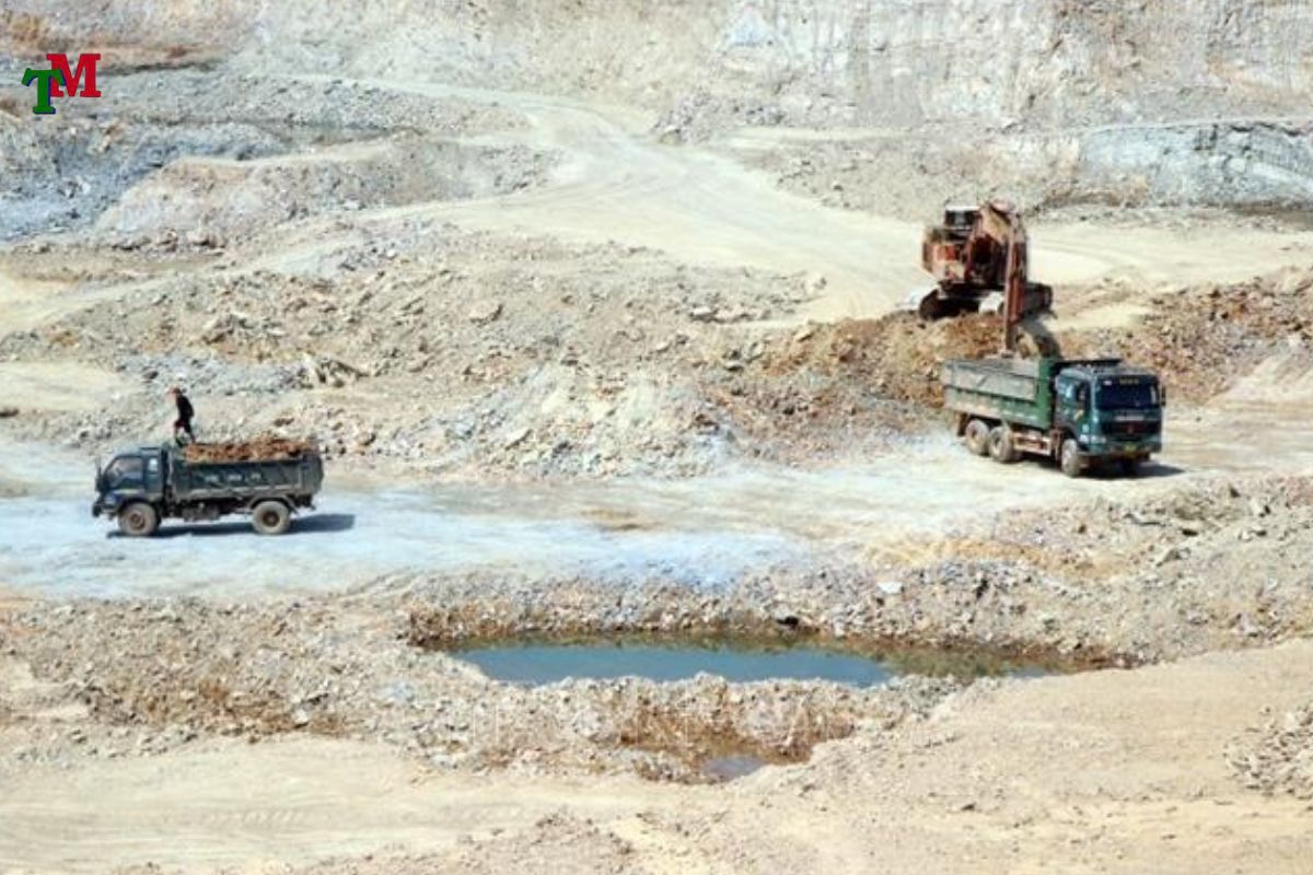 HƯỚNG XỬ LÝ KHI BỊ XỬ PHẠT VÌ KHAI THÁC TÀI NGUYÊN TRÁI PHÉP