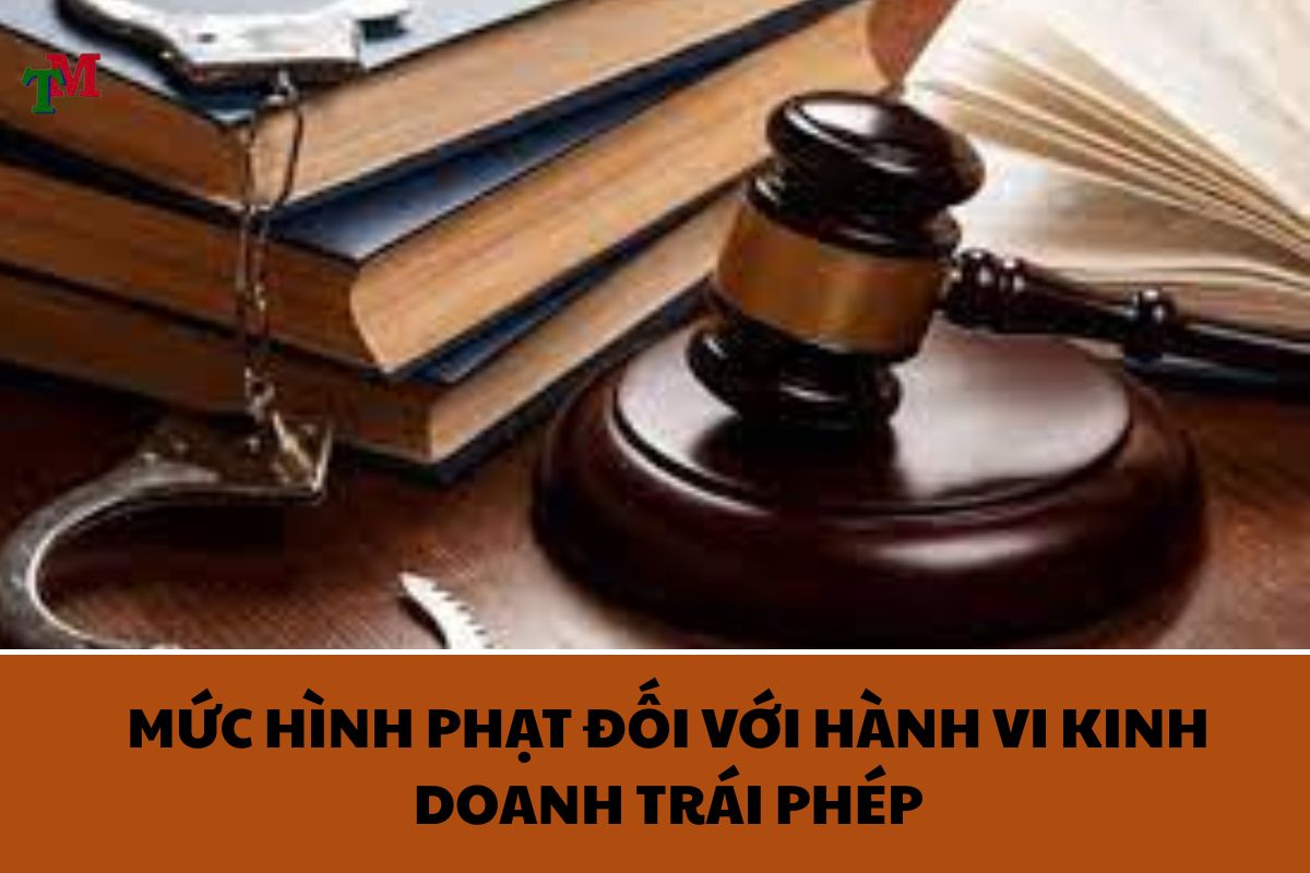KINH DOANH TRAI PHEP 3
