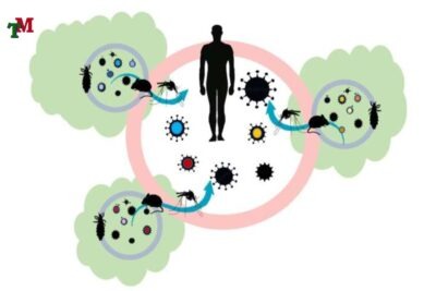 LAM LAY LAN DICH BENH 2