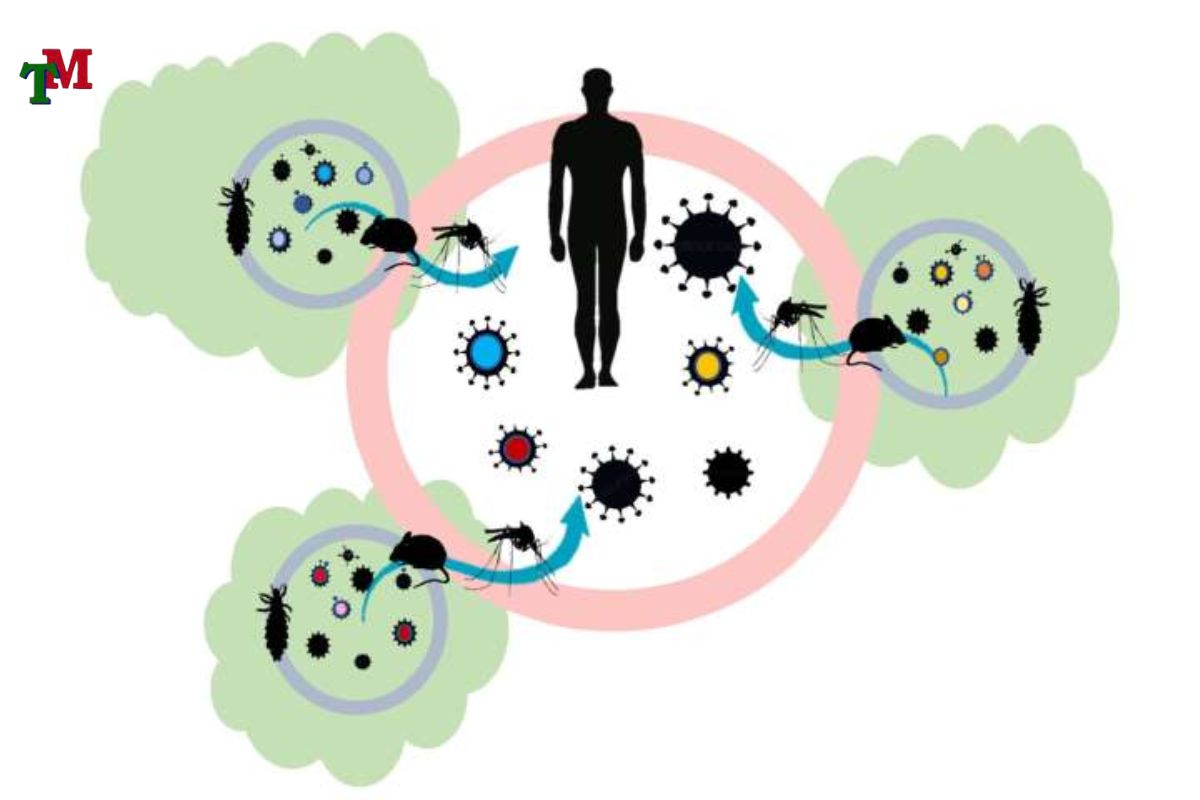 LAM LAY LAN DICH BENH 2