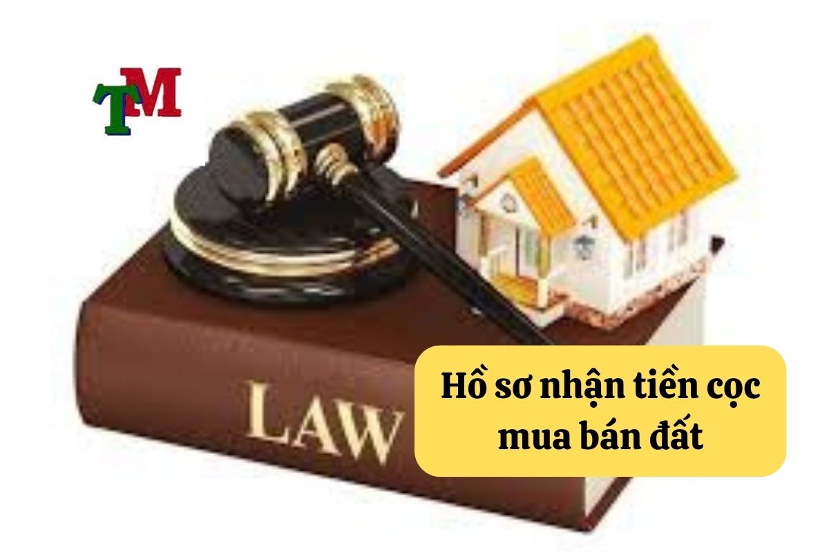 quy định pháp lý về việc nhận tiền đặt cọc trong giao dịch mua bán đất đai 3 LTM 30.5.2 3