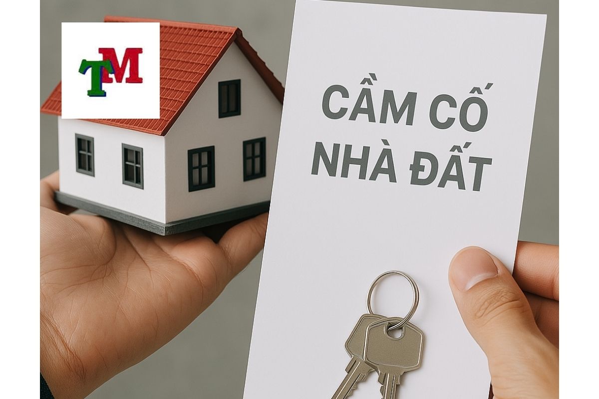 Cầm cố nhà đất: 5 Quy định và hướng dẫn chi tiết 1 LTM 30.5.3