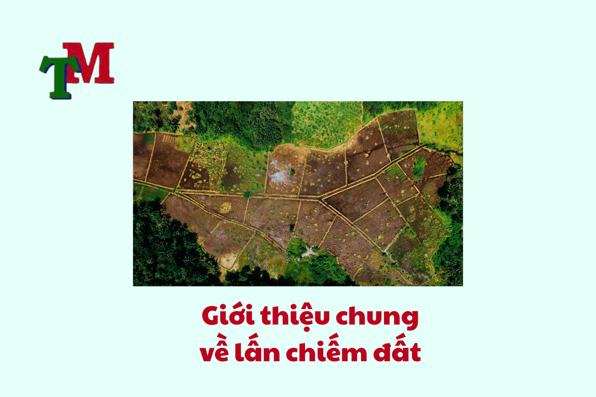 Lấn Chiếm Đất: Quy Định Mới Nhất và Hướng Dẫn Giải Quyết Tranh Chấp Hiệu Quả 1 Giới thiệu chung về lấn chiếm đất