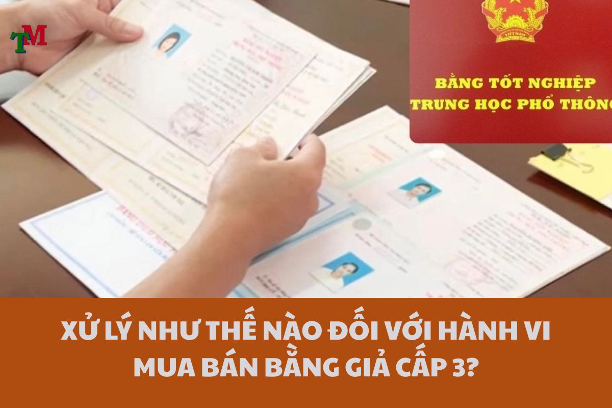 MUA BAN BANG GIA CAP 3 2