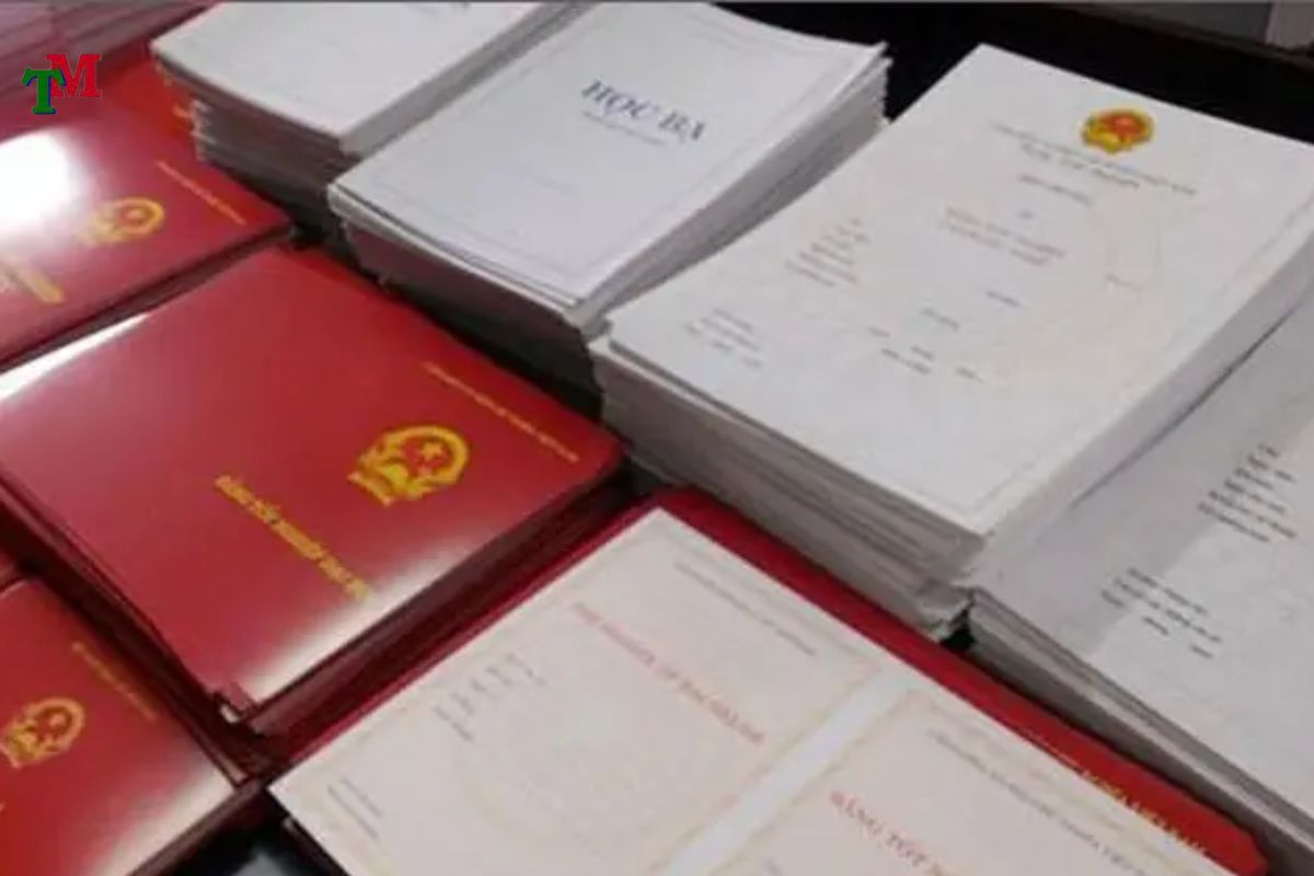 MUA BAN BANG GIA CAP 3 3