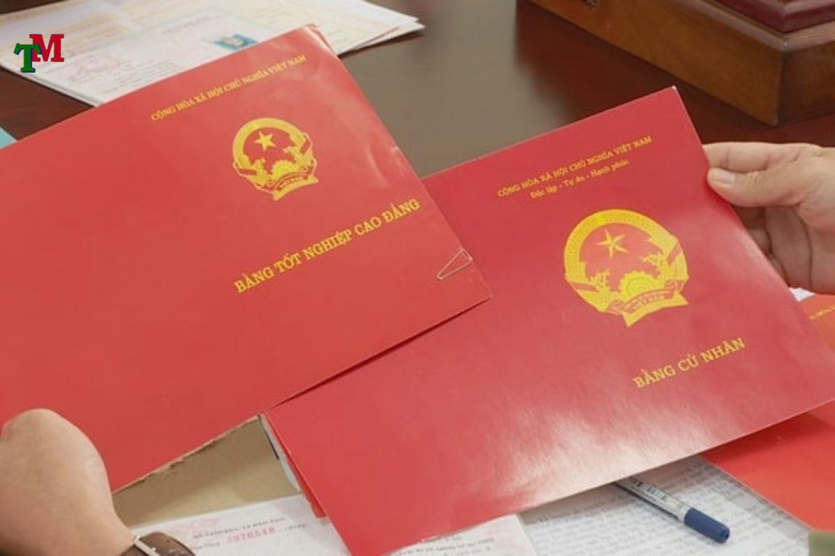 MUA BAN BANG GIA CAP 3