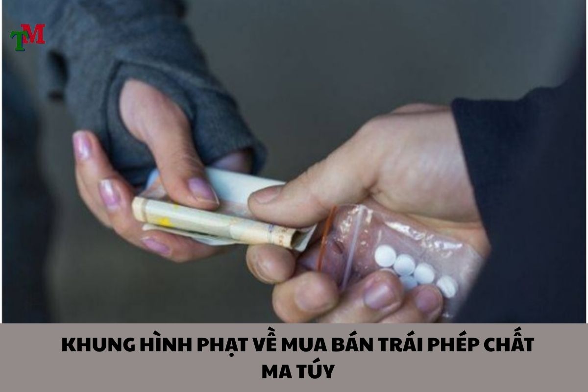 KHUNG HÌNH PHẠT VỀ MUA BÁN TRÁI PHÉP CHẤT MA TÚY