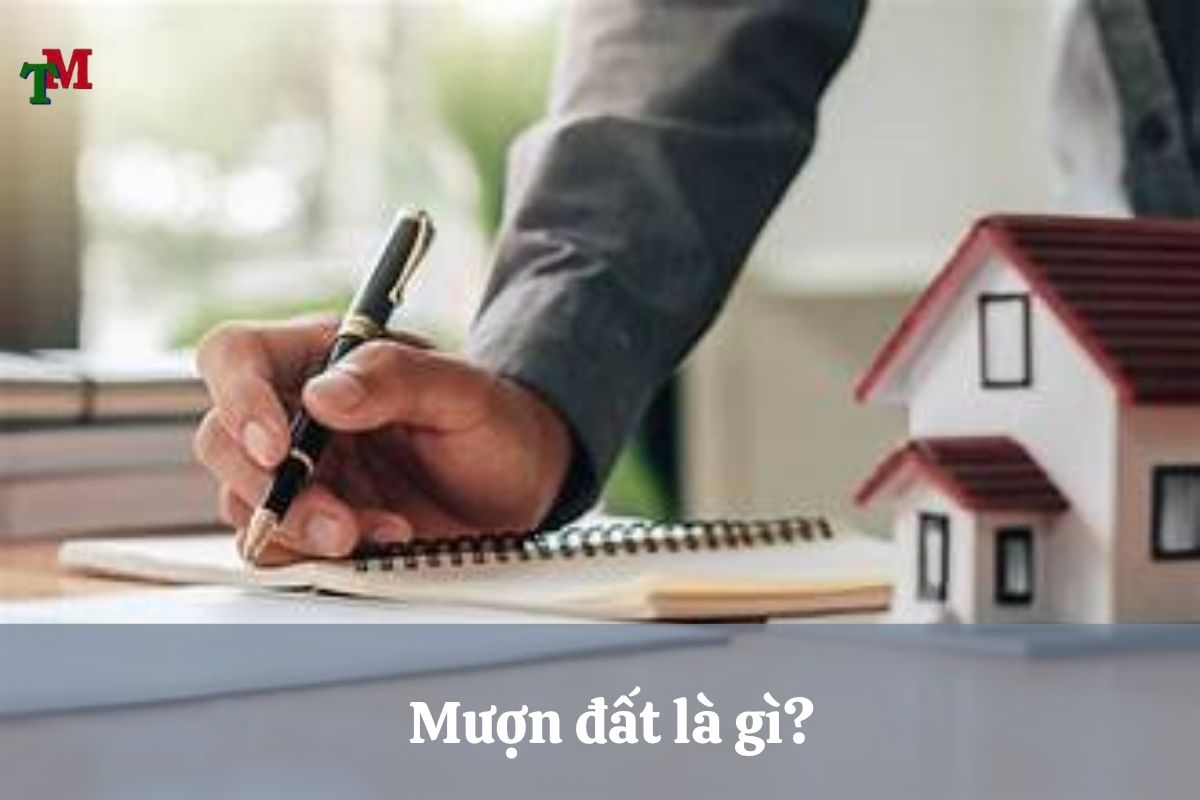 Mượn đất đúng quy định: Hướng dẫn chi tiết từ chuyên gia 1 MUON DAT