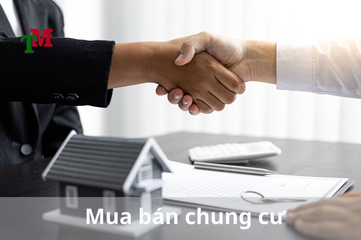 Mua bán chung cư 